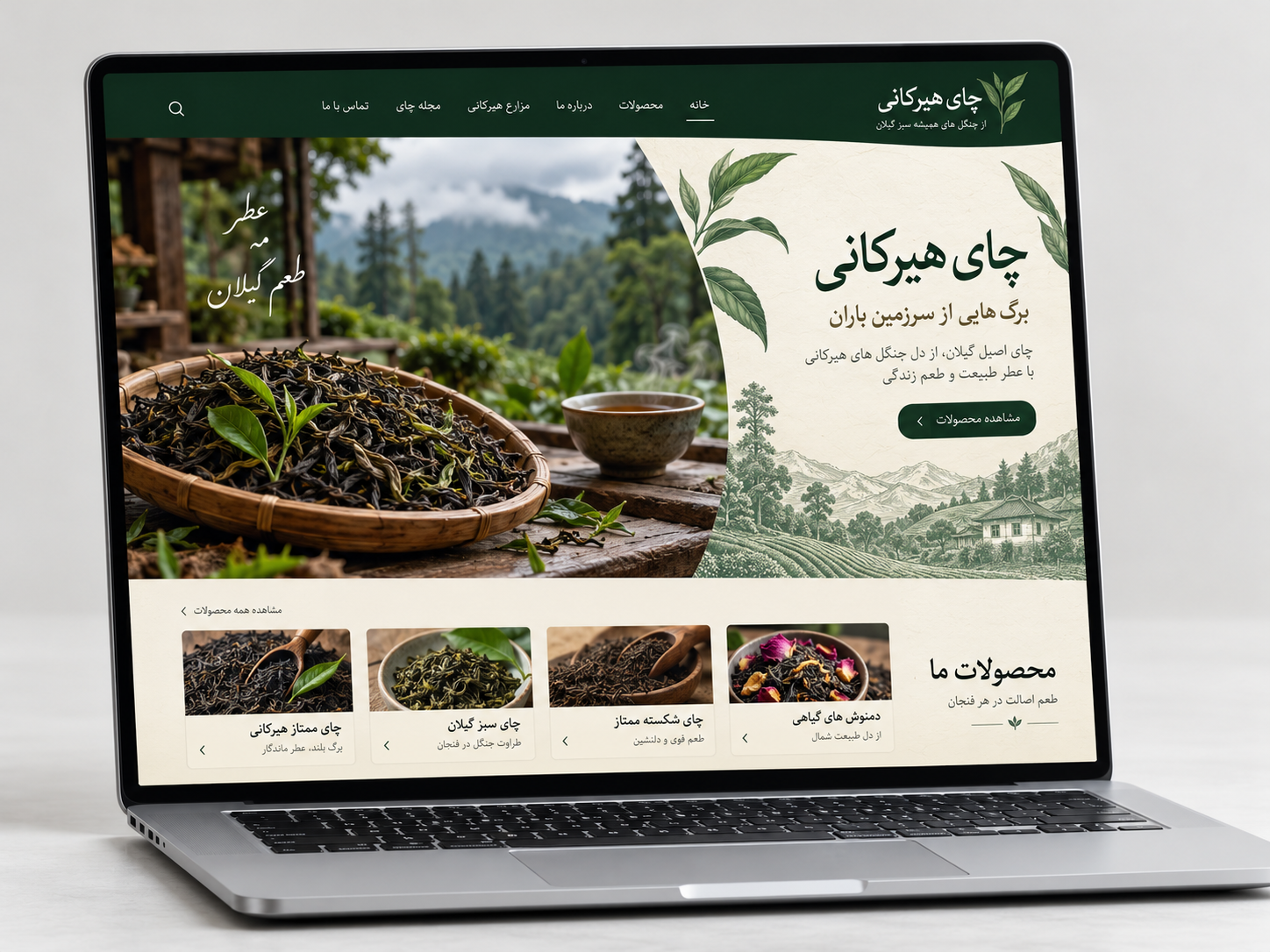 سمپل موکاپ لپ‌تاپ فارسی سایت چای هیرکانی